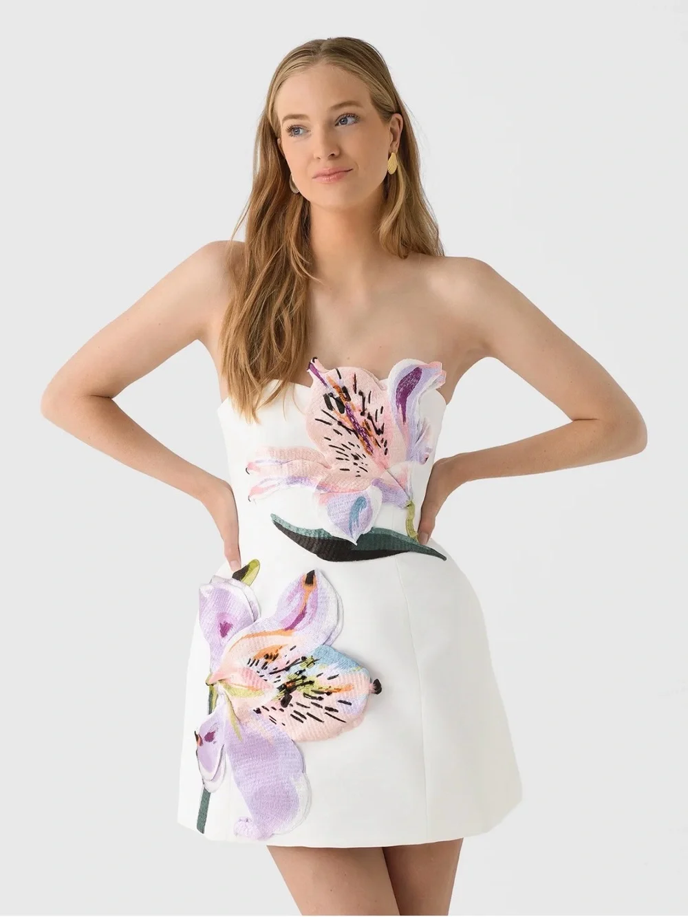 Leo Lin Rosario Floral Appliqué Bustier Mini Dress - Picture 1 of 2